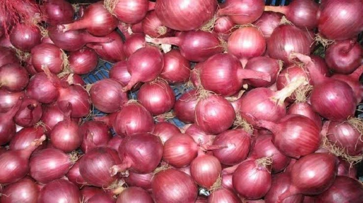 Red bulb onion from Kenya
